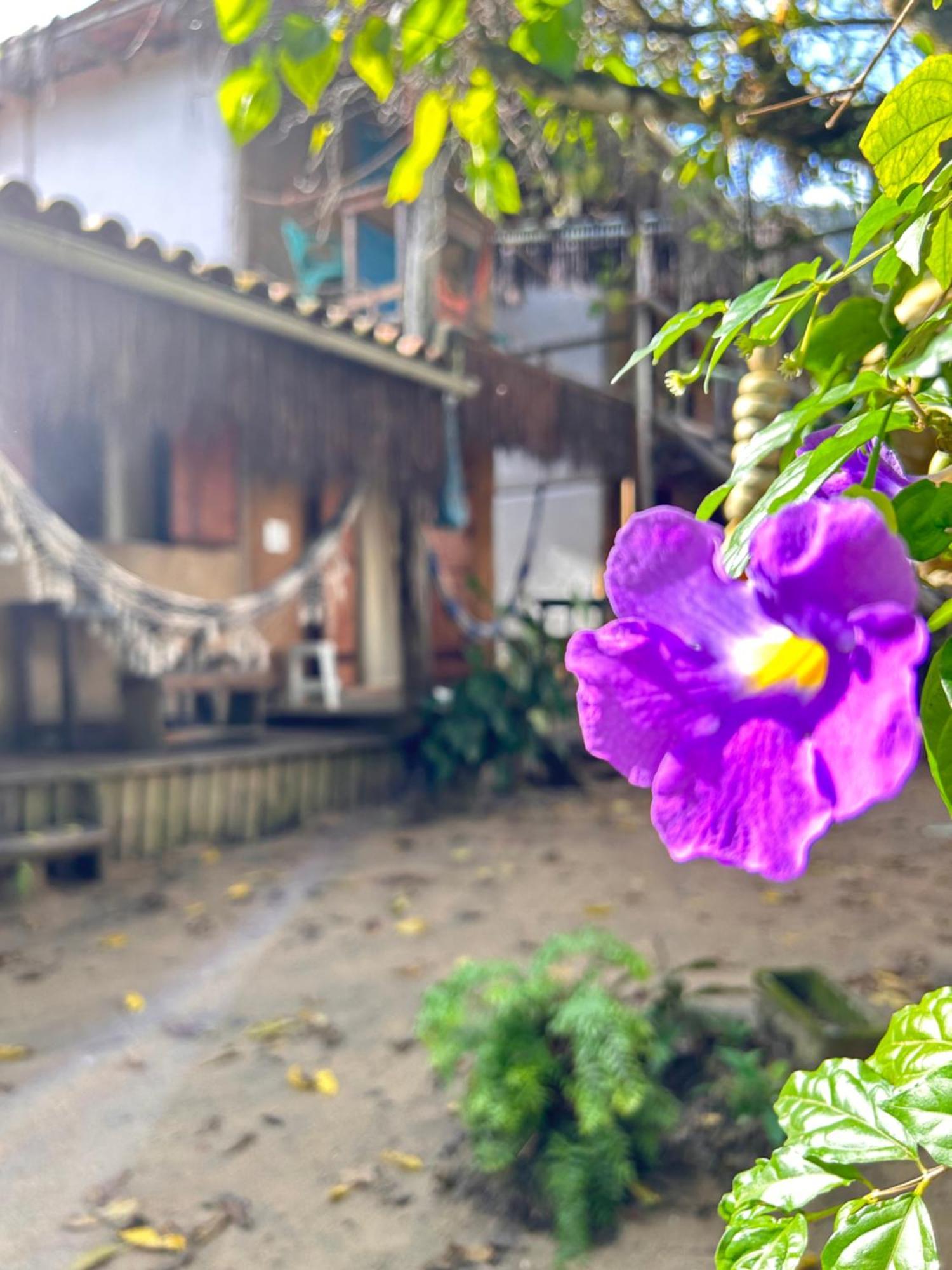 Pousada Roy Bonete Ilhabela Dış mekan fotoğraf